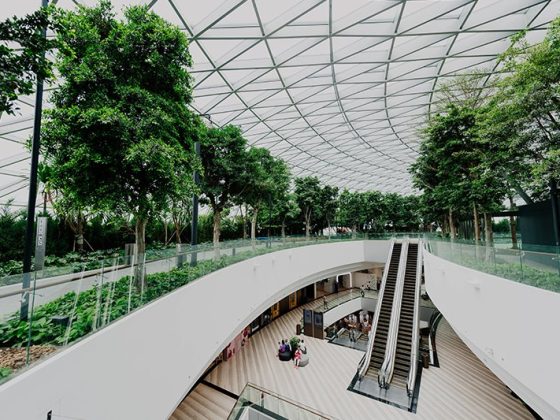 AVM Peyzaj Çalışması