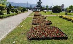 Kamu Alanları & Park Peyzajı